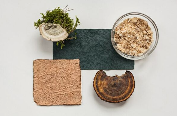 Woola、LivingPackets 和 Releaf Paper 入圍 LVMH 創(chuàng)新設(shè)計獎決賽